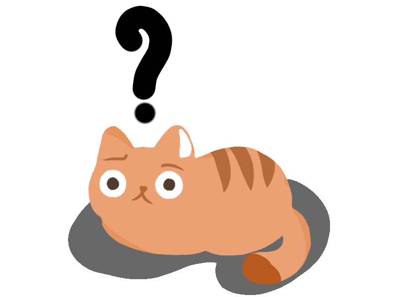 A cat with question marks